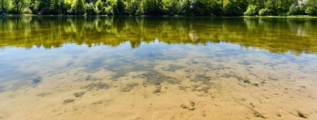 supporting-ecosystem-restoration-lake-pond-management-solutions