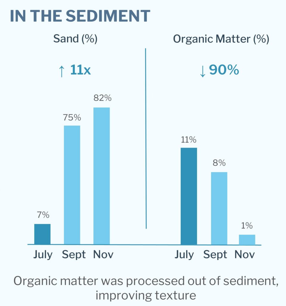 Country Place Sediment