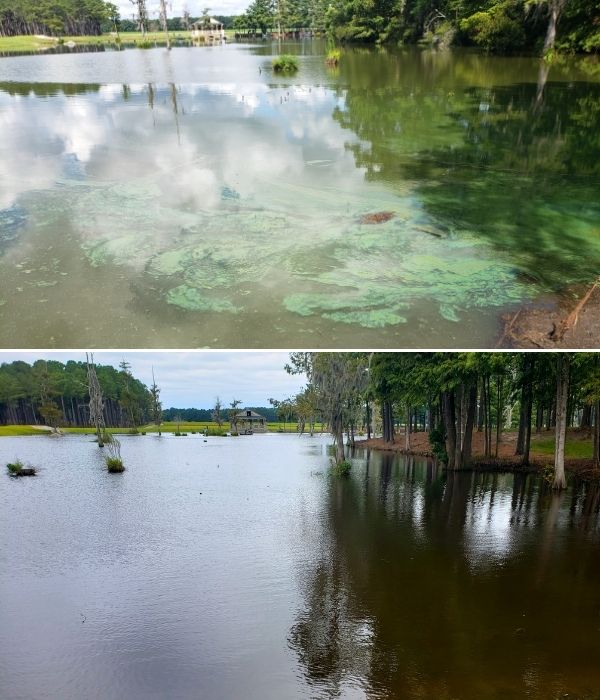 case-study-trymarine-coastal-lake-pond-north-carolina-before-after (1)