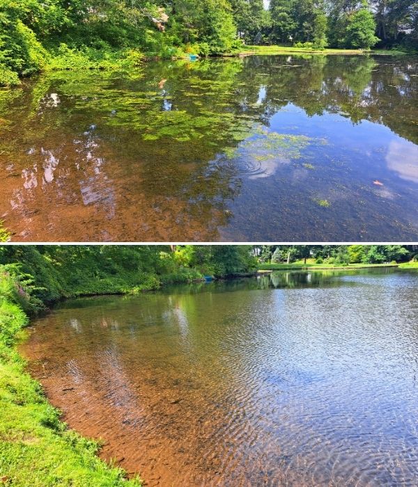 case-study-trymarine-hoa-lake-pond-connecticut-before-after (1)