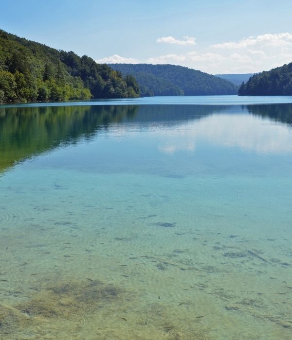 case-study-trymarine-lake-pond-compiled-data-report-before-after (1)