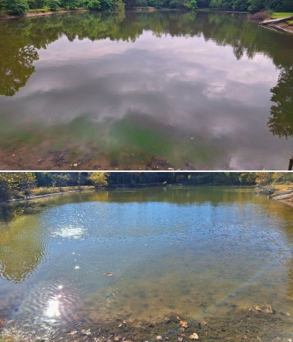 case-study-trymarine-private-lake-pond-missouri-before-after (1)
