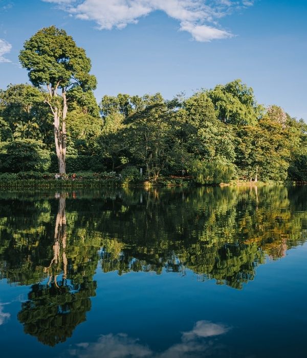 case-study-trymarine-university-lake-pond-new-york