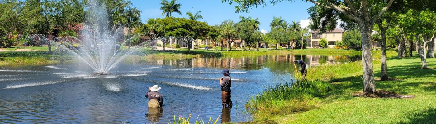 increase-dissolved-oxygen-levels-with-lake-pond-aeration-fountain-systems