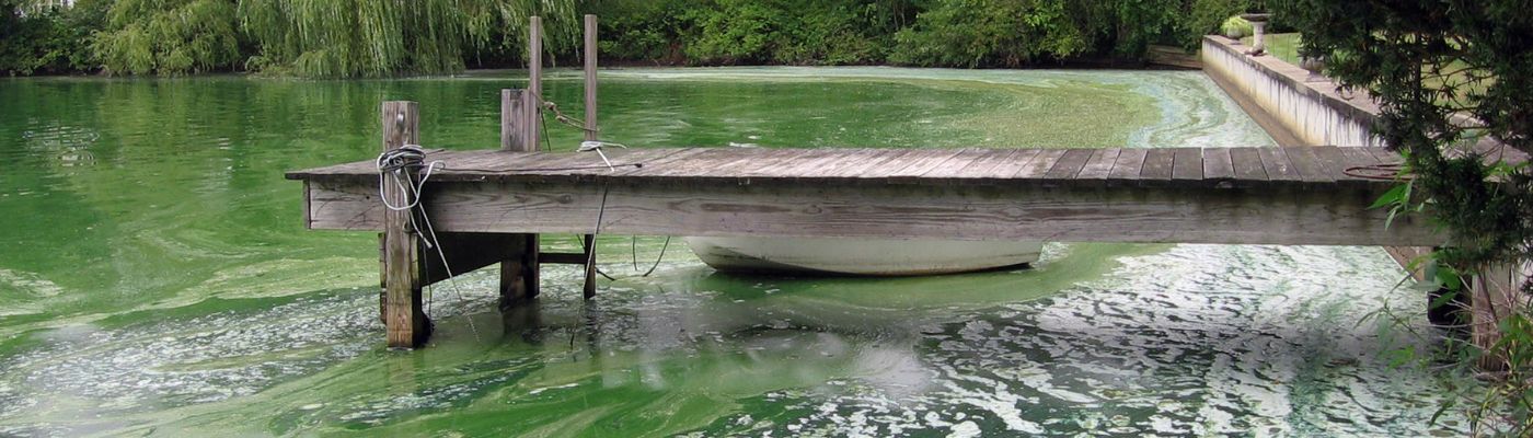 preventing-toxic-blooms-with-lake-algae-control