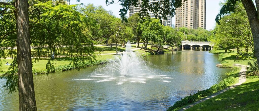proactive-lake-pond-management