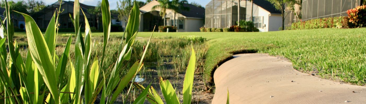 protecting-borders-shoreline-management-lake-pond