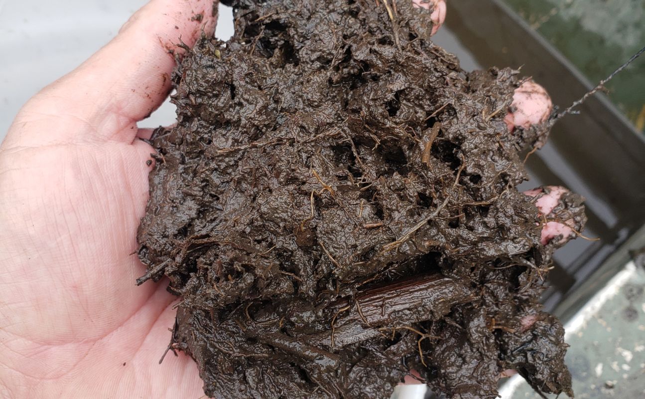 trymarine-case-study-coastal-lake-nc-muck-sediment-9.9.25