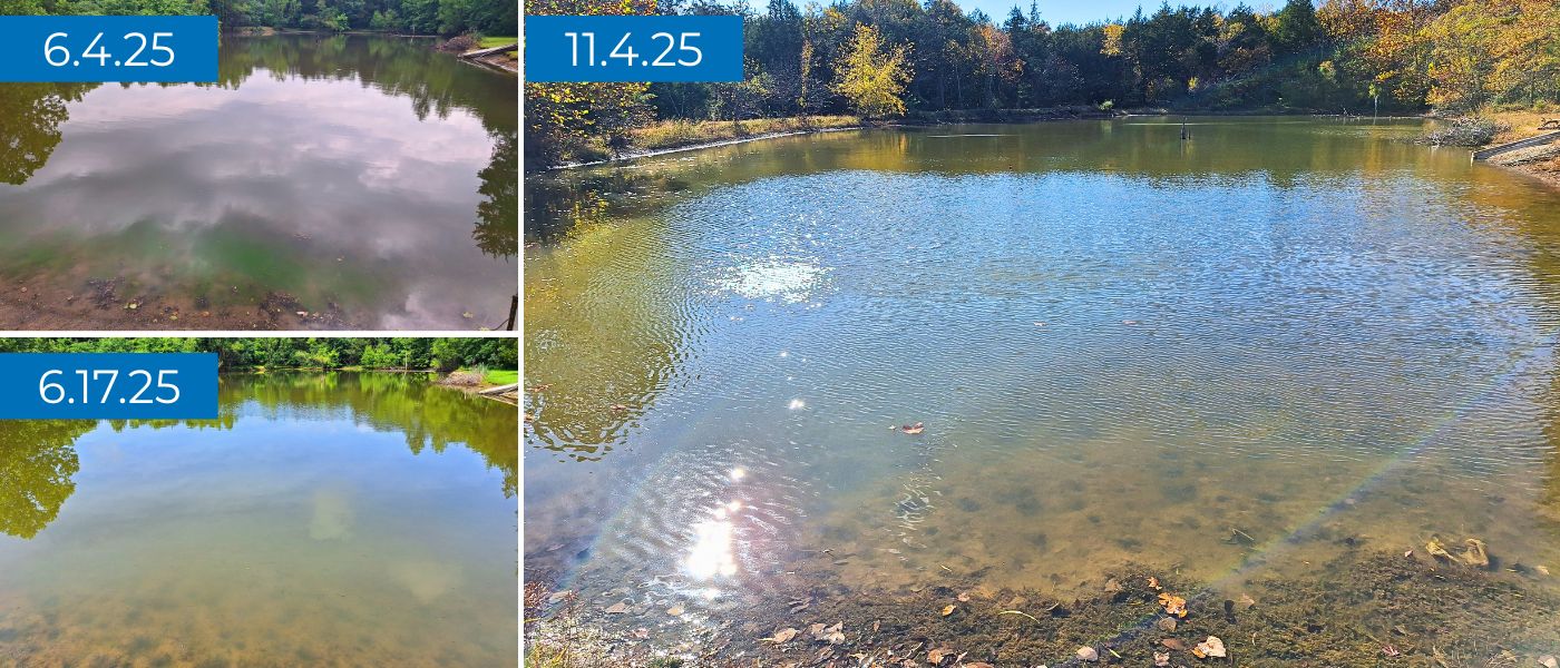 trymarine-case-study-missouri-private-pond-progression