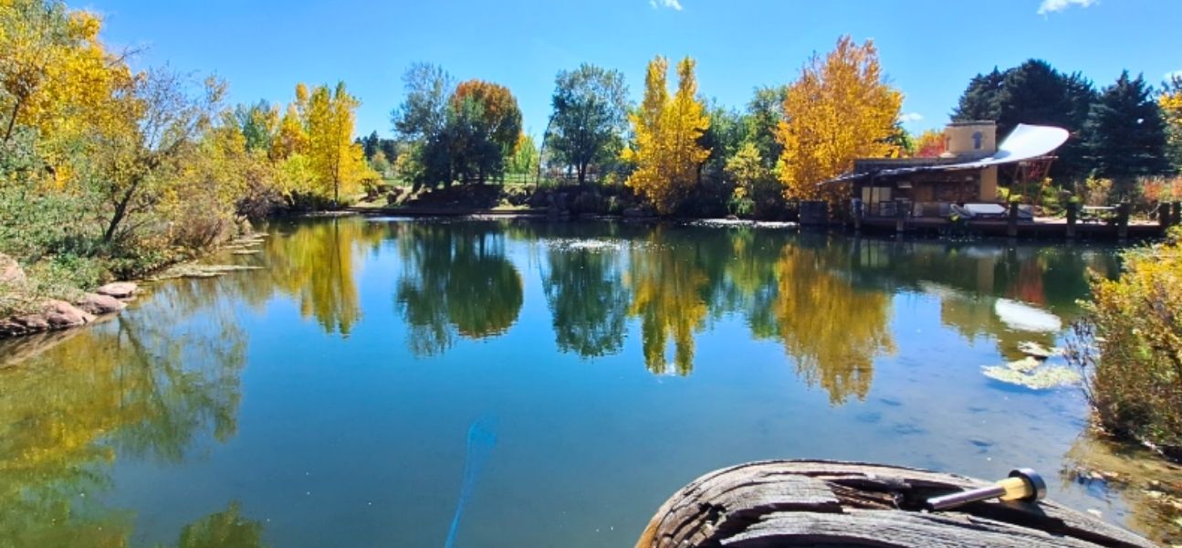 trymarine-case-study-private-pond-restoration-before-water