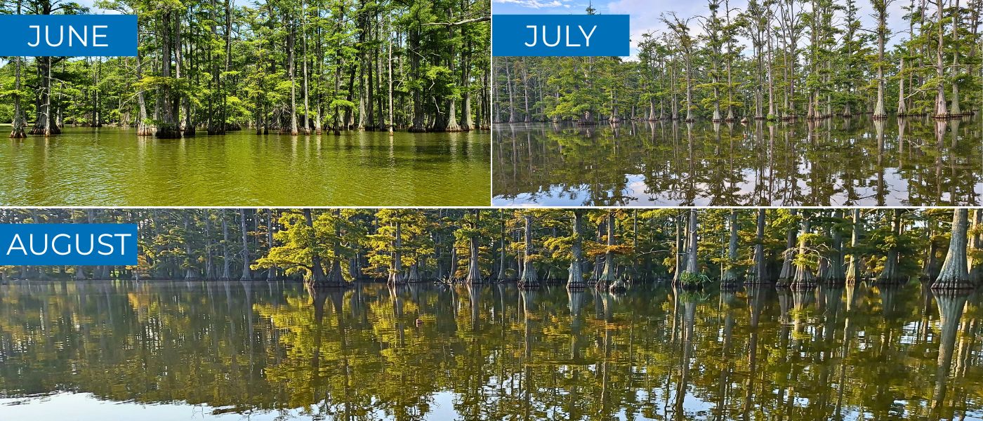 trymarine-case-study-three-lake-system-restoration-progression