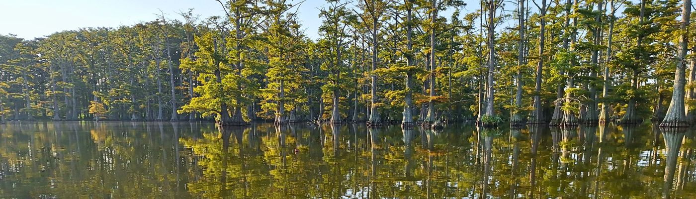 trymarine-case-study-three-lake-system-restoration