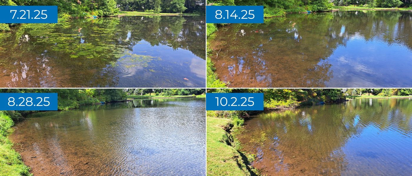 trymarine-case-study-wyndwood-hoa-ct-pond-progression