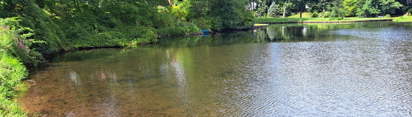 trymarine-case-study-wyndwood-hoa-ct-pond