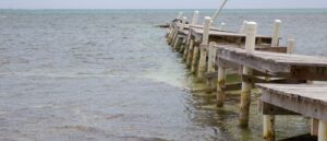 Destroyed Pier after Hurricane (1)