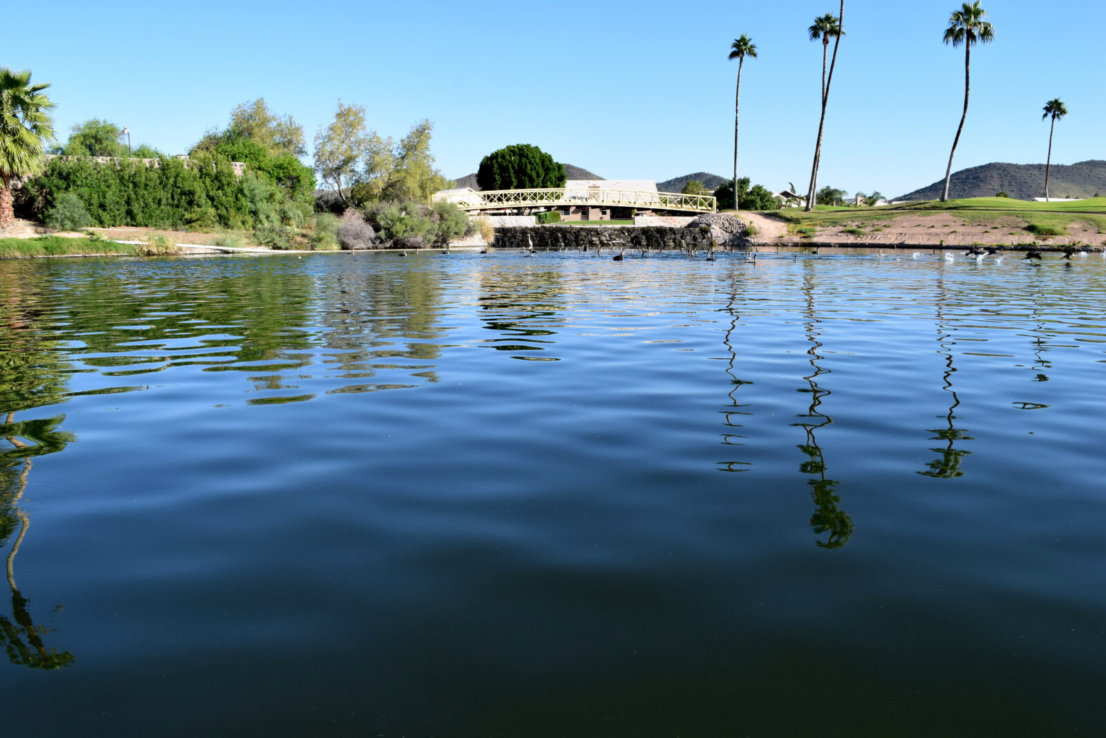 close up of water on a golf course
