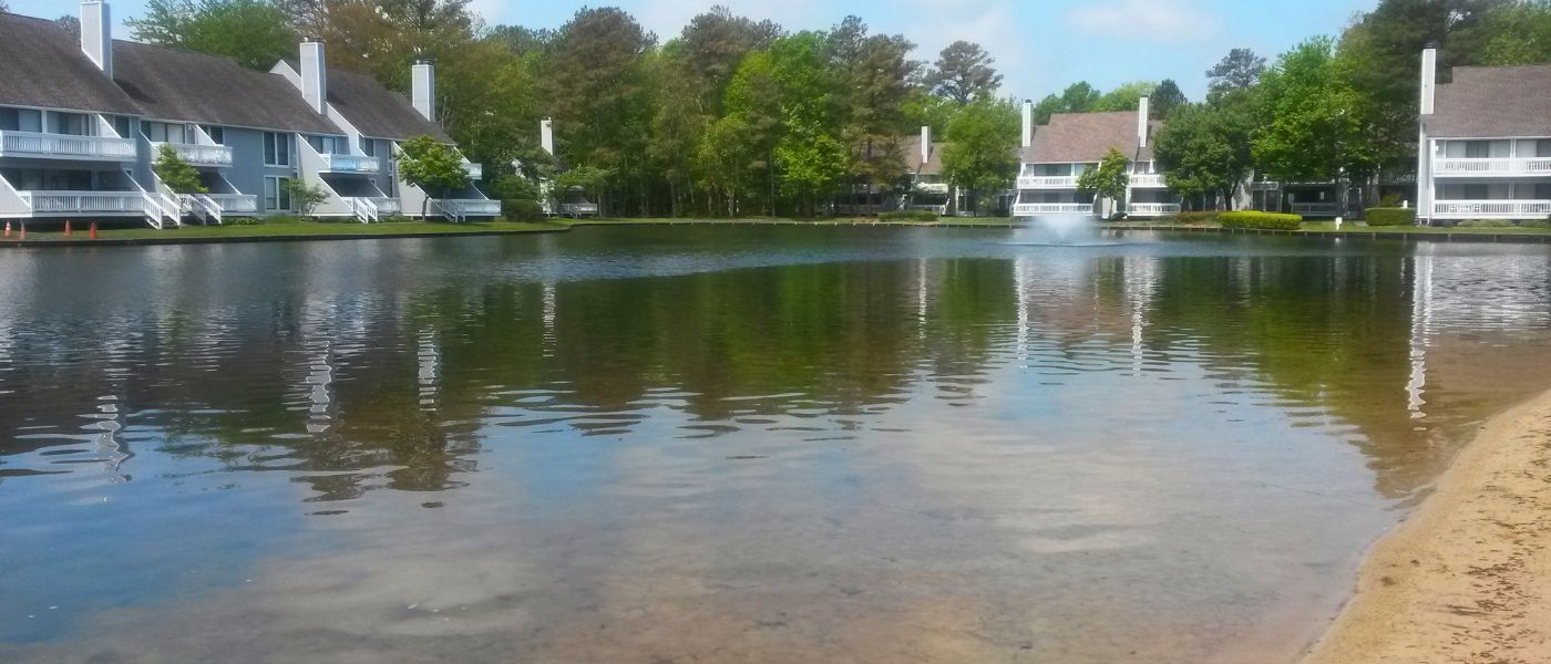 image of a balanced waterbody community thanks to ecosystem restoration
