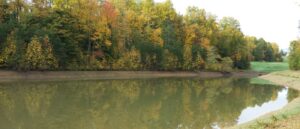 image of pond suffering from shoreline deterioration (1)