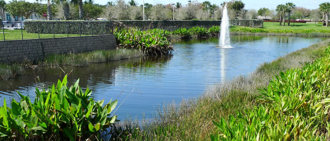 pond with a healthy vegetated buffer zone and fountain