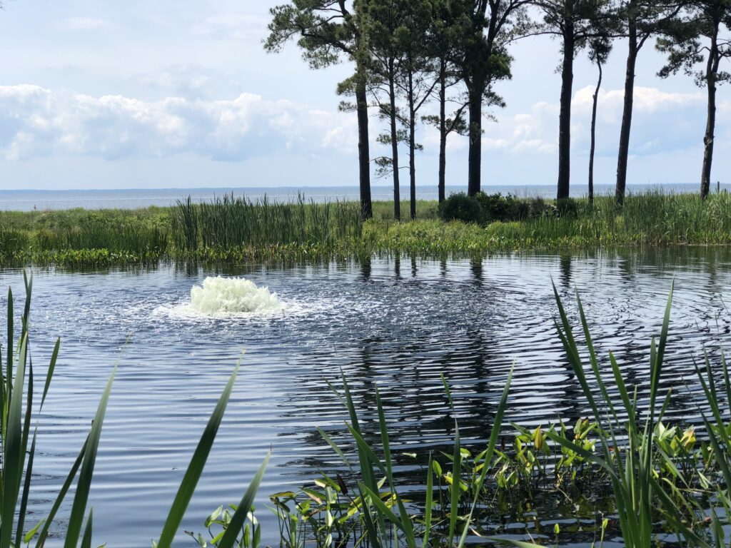 How Does a Pond Aerator Improve Water Quality?