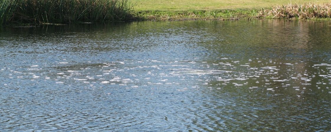 Bubbles at the surface of a pond from a submersed aerator