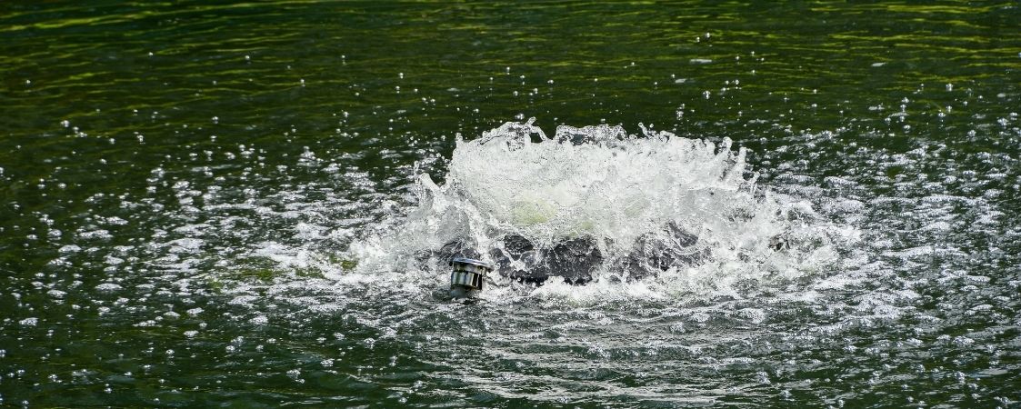 A floating surface aerator in a pond moving water to increase oxygen levels