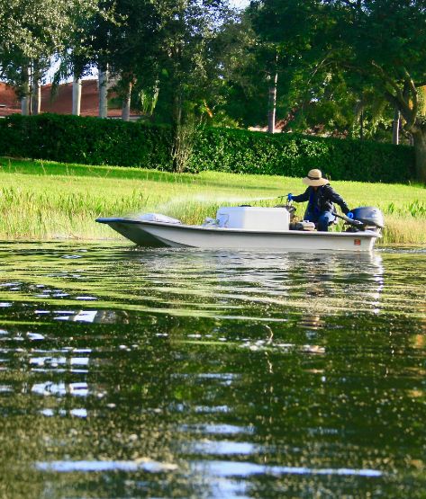 Pond-algae-control-florida-treatment (1)