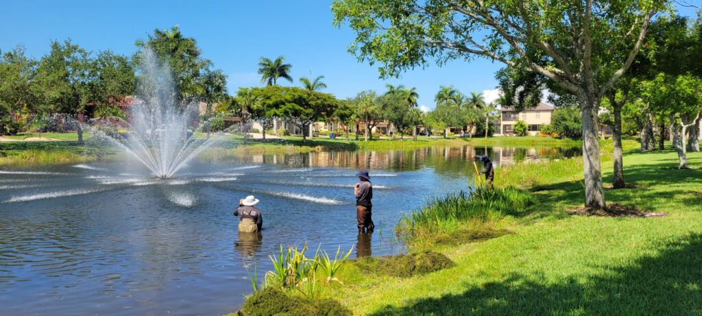 SOLitude aquatic professionals evaluating conditions around a pond