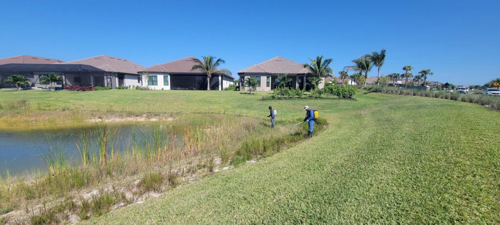 Frequently Asked Questions About Pond Maintenance Services